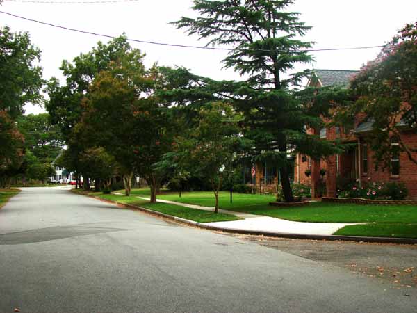 Pine Norfolk Virginia Real Estate