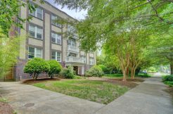 1506 Colonial Ave #3  Norfolk, 23507